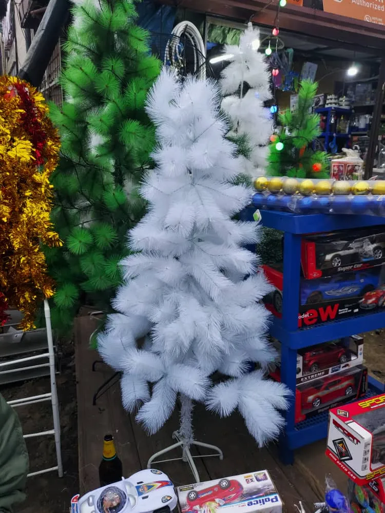Main Photo - Marketplace | 🎄✨ Christmas Trees For Sale! ✨🎄, Clerks Quarters, Buea, Cameroon | Services & Others 