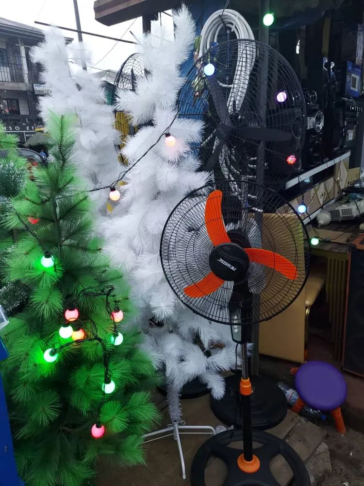 Gallery Photo 1 - Marketplace | 🎄✨ Christmas Trees For Sale! ✨🎄, Clerks Quarters, Buea, Cameroon | Services & Others 