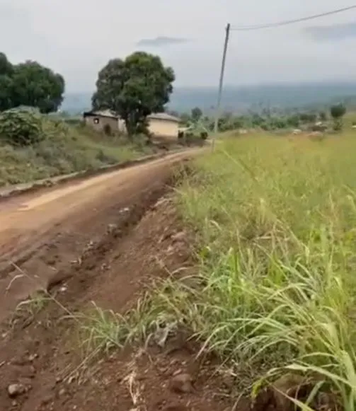 Main Photo - Real Estate | Land For Sale | New Listing – Prime Commercial Land Above Wotutu, Wotutu, Buea, Cameroon
