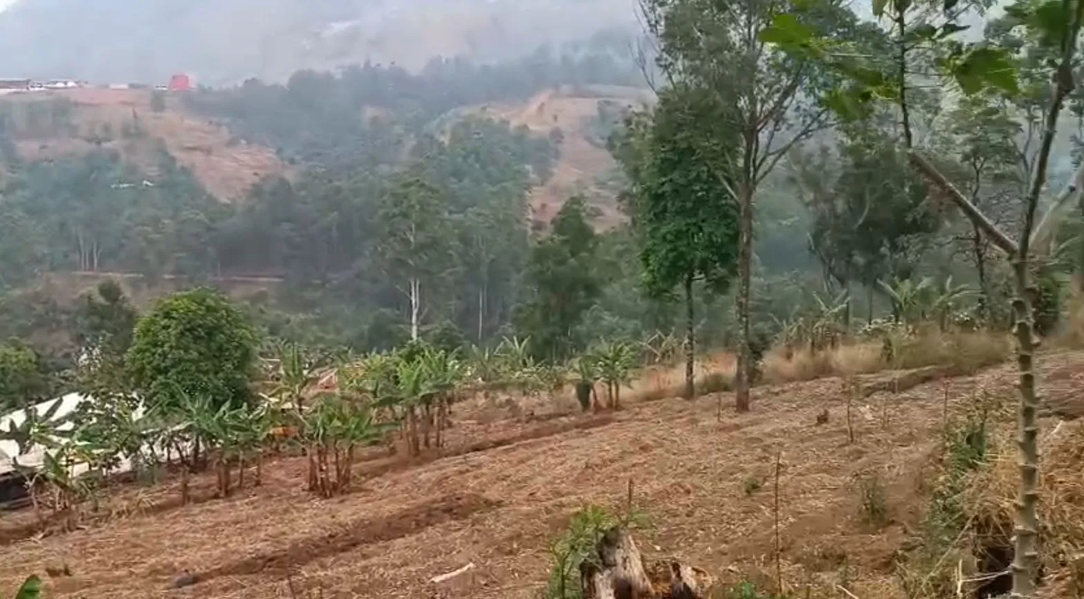 Main Photo - Real Estate | Land For Sale | Another New Year Land Giveaway! 🥰, Up station, Bamenda, Cameroon