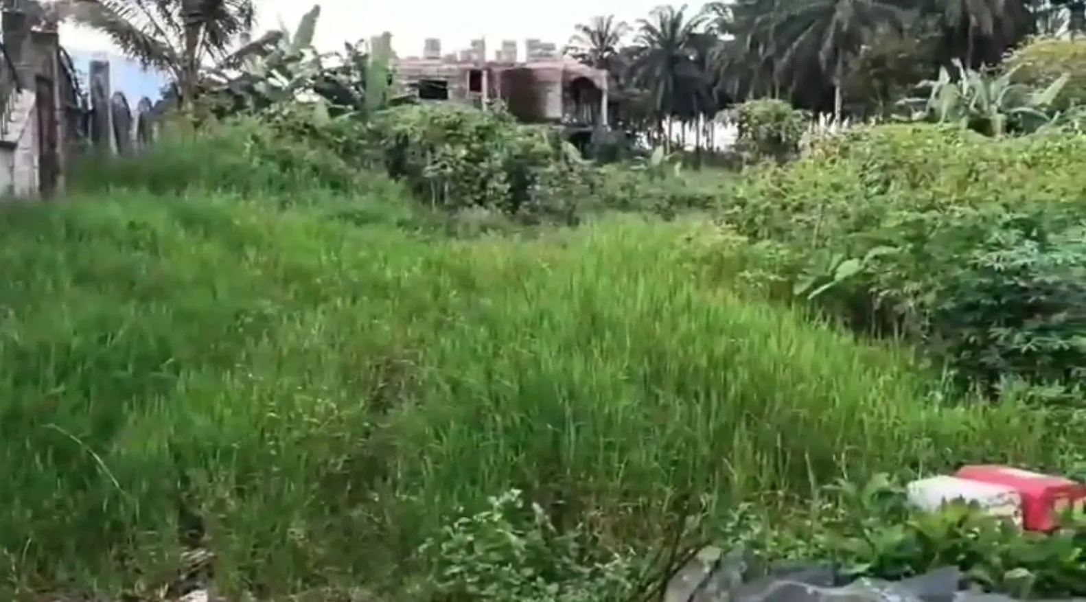 Main Photo - Real Estate | Land For Sale | A Commercial And Residential Land For Sale In Buea, Around Bulu Blind Centre, Buea, Cameroon