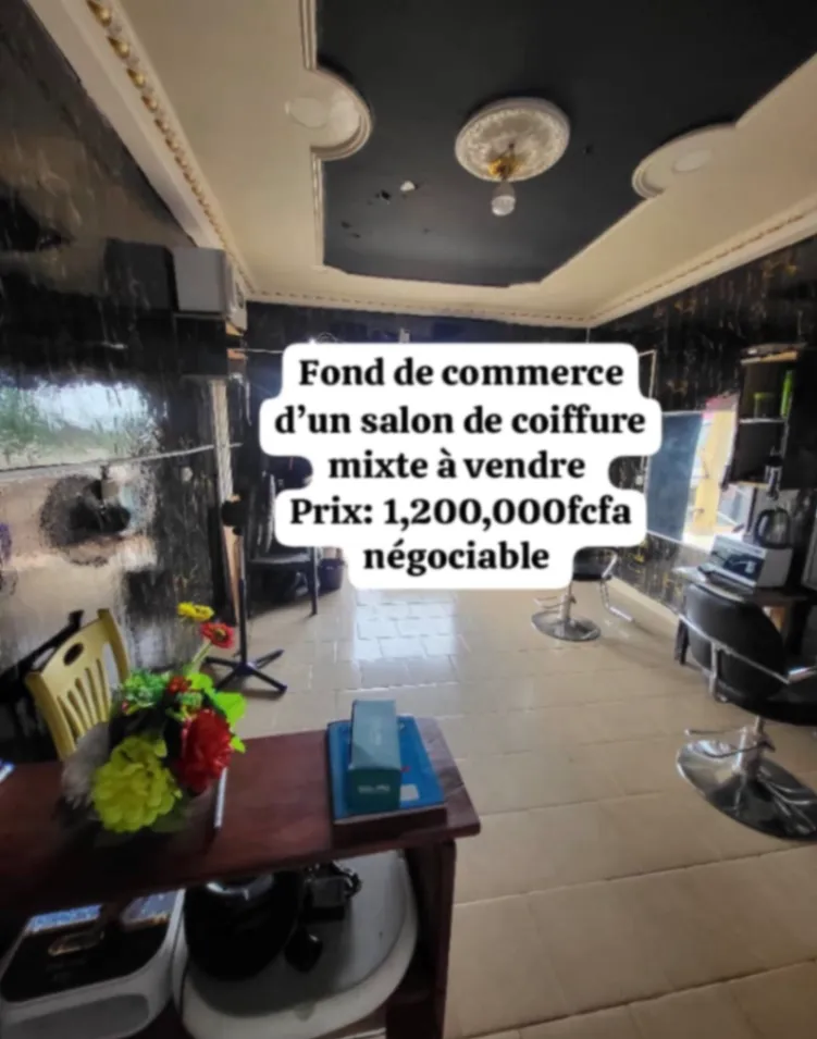 Main Photo - Real Estate | Office For Sale | Mixed Salon, Biyemassi, Yaoundé, Cameroon