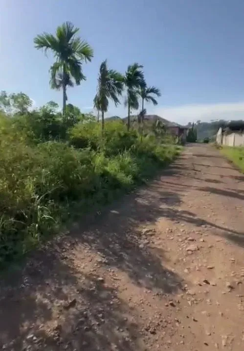 Main Photo - Real Estate | Land For Sale | New Listing — Large Parcel At Mutengene, Near Transformer Church, Mutengene, Cameroon