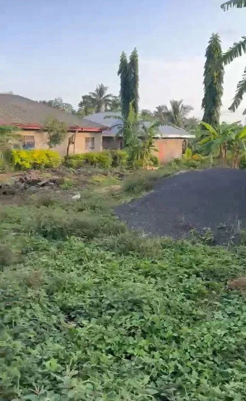 Main Photo - Real Estate | Land For Sale | Land For Sale – Mutengene 🌍, Street One (Behind Tomato Market), Mutengene, Cameroon