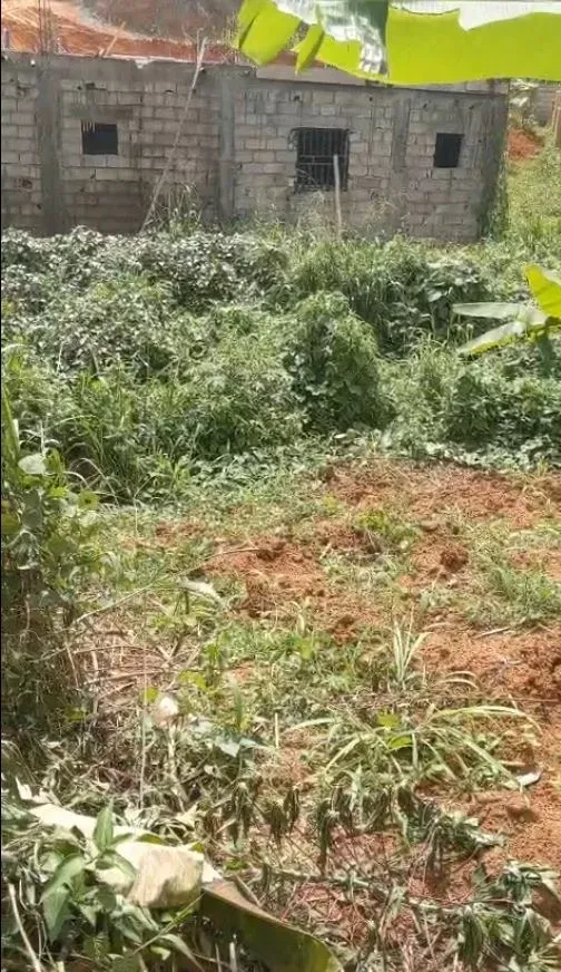 Main Photo - Real Estate | Land For Sale | Land For Sale In Tsinga – Yaoundé ✨🏡, TSINGA, Yaoundé, Cameroon