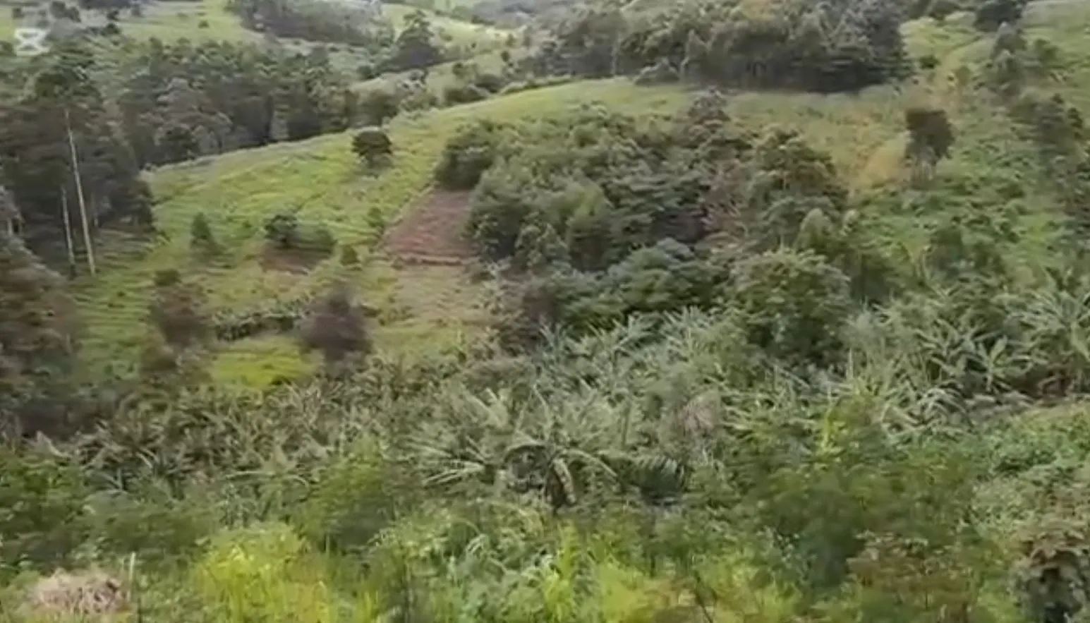 Main Photo - Real Estate | Land For Sale | Promotional Offer Available For The First 10 Plot At Upstation - Bamenda, Up station, Bamenda, Cameroon