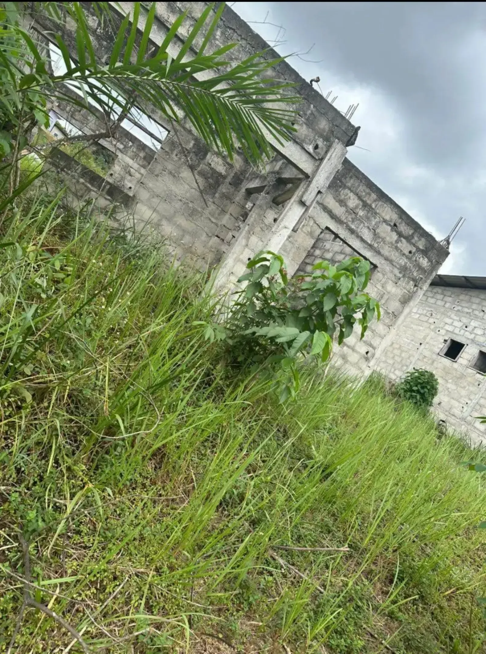 Main Photo - Real Estate | Land For Sale | Terrain À Vendre, Bikele, Libreville, Gabon