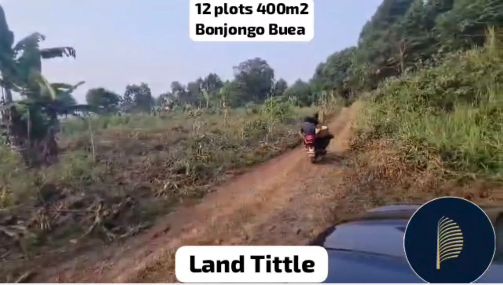 Main Photo - Real Estate | Land For Sale | Land For Sale In Bojongo, Bojongo, Buea, Cameroon